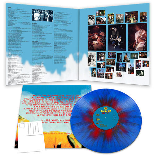blink-182 - Buddha - LP Vinyl Record Hub