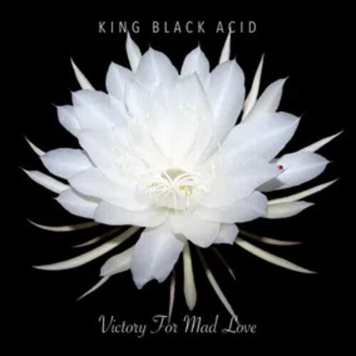 King Black Acid - Victory For Mad Love - RSD LP Vinyl Record Hub