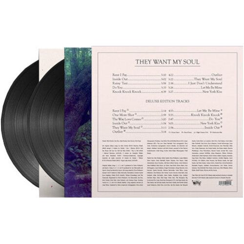 Spoon - They Want My Soul (More Soul Edition) - LP Vinyl Record Hub