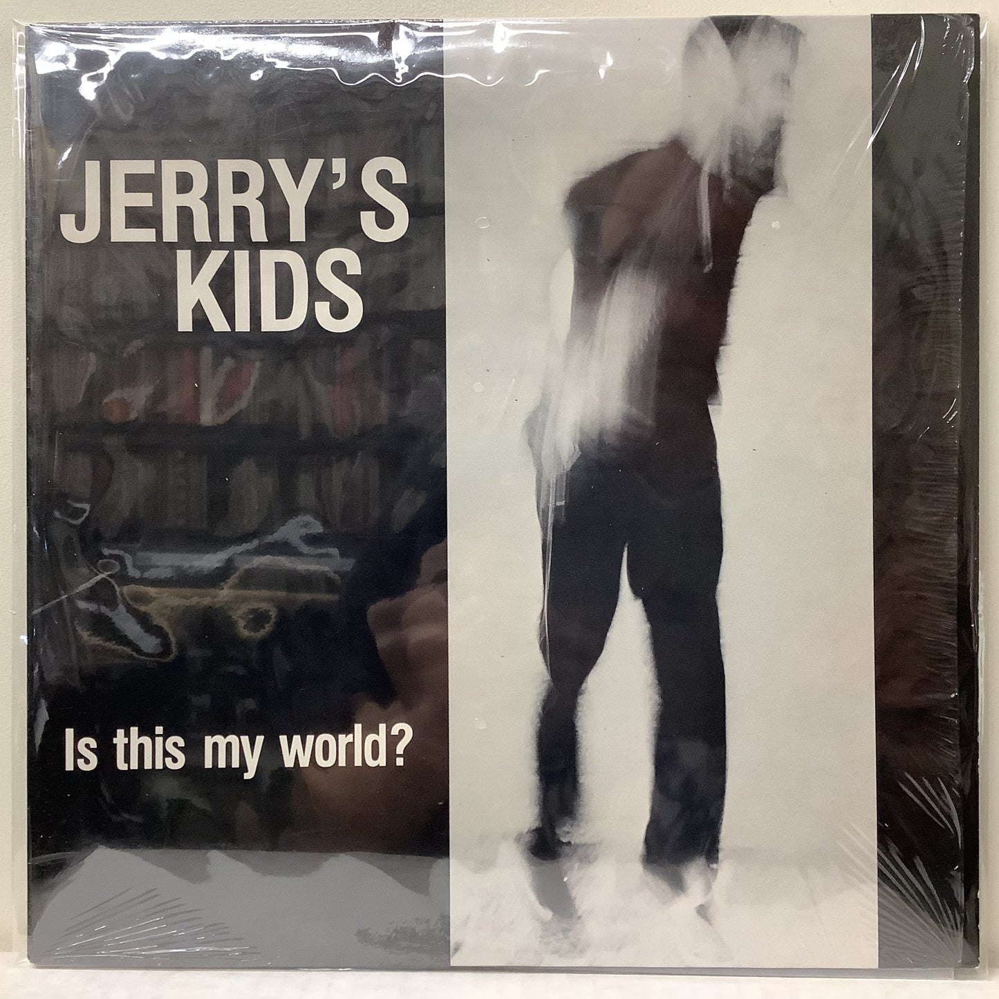 Jerry's Kids - Is this my world? - LP Vinyl Record Hub