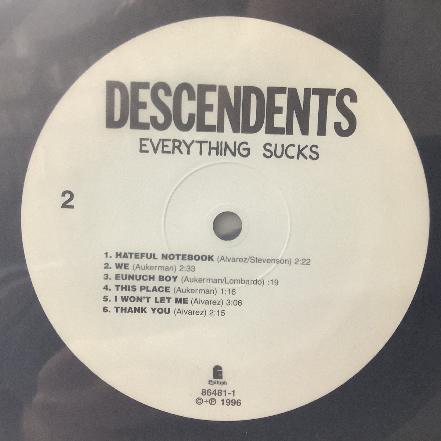 Descendents - Everything Sucks - Epitaph LP Vinyl Record Hub