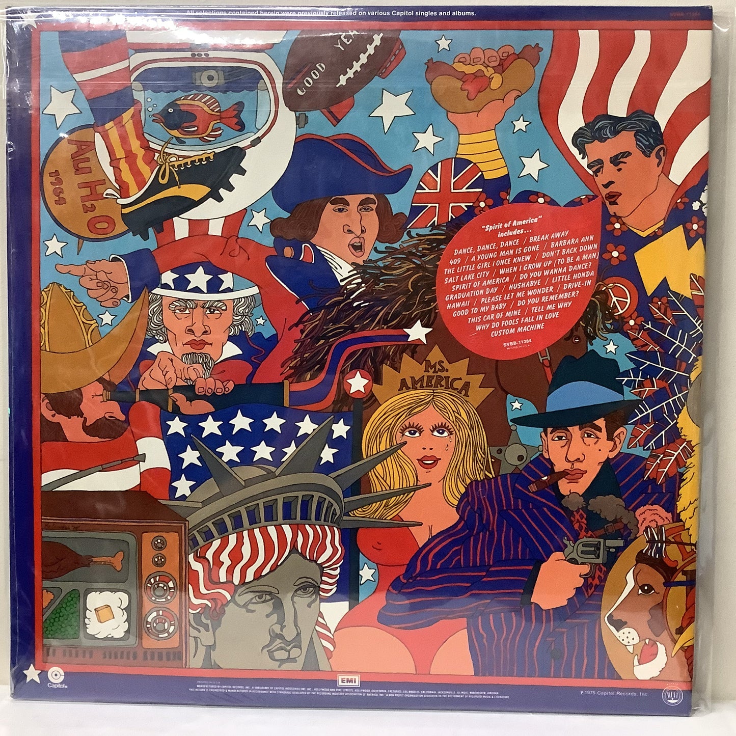 The Beach Boys - Spirit of America 2x LP Vinyl Record Hub