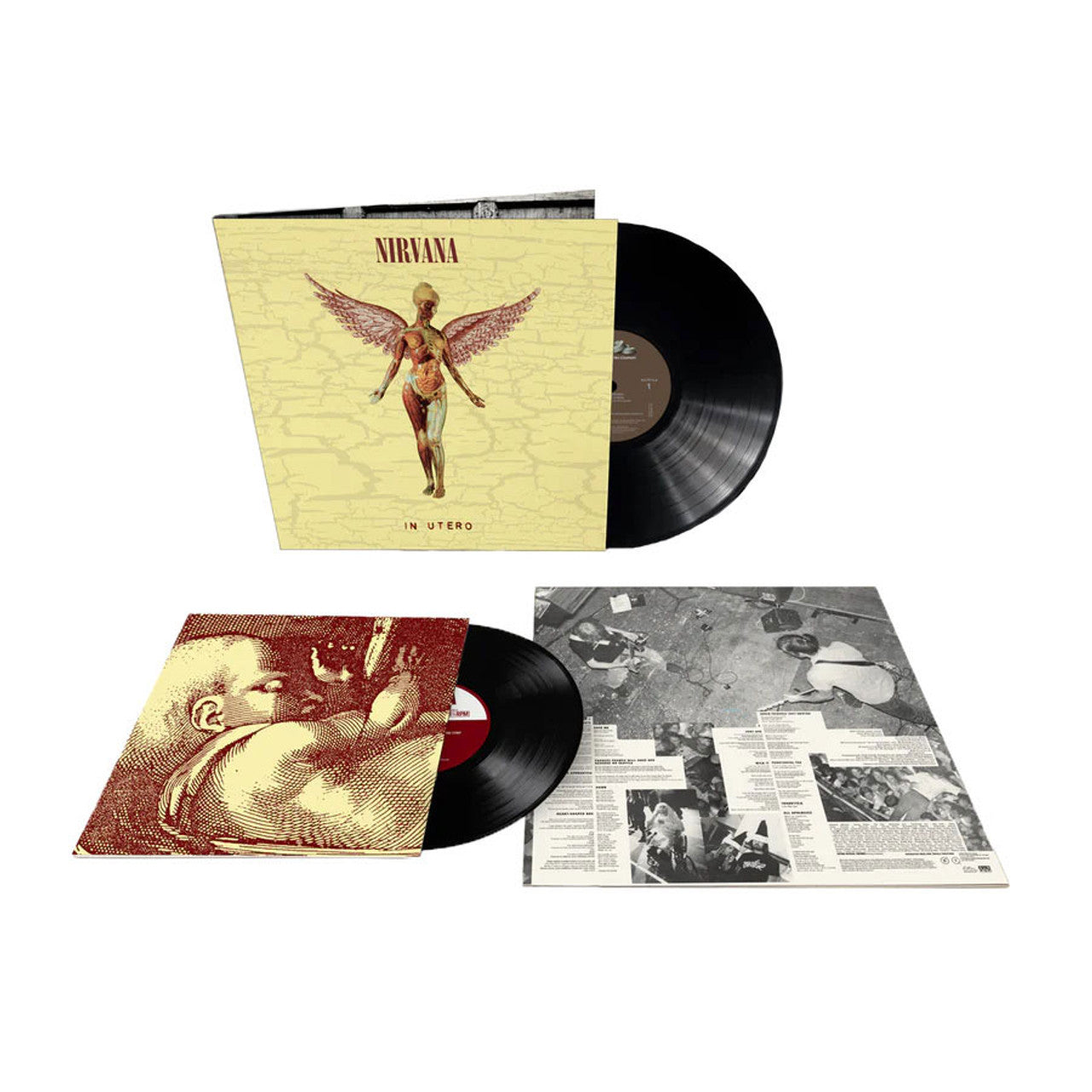 Nirvana - In Utero - (30th Anniversary) LP & 10" Vinyl Record Hub