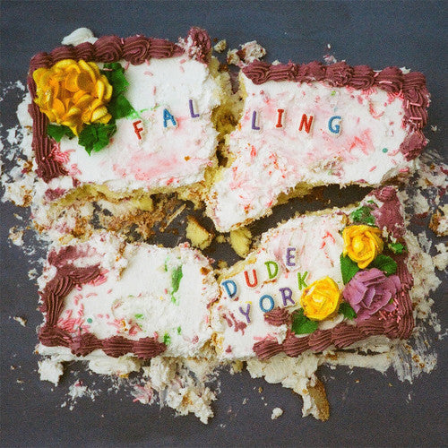 Dude York - Falling - LP Vinyl Record Hub