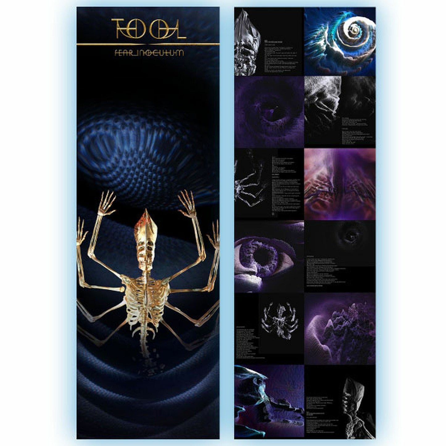 Tool - Fear Inoculum - LP Vinyl Record Hub