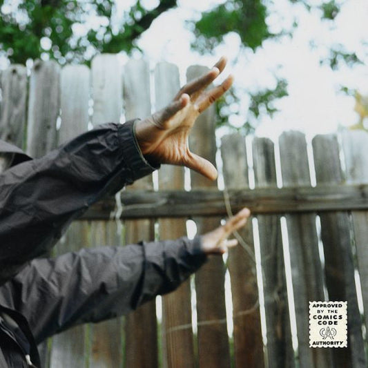 Madvillain - Madvillainy 2: The Madlib Remix - LP Vinyl Record Hub