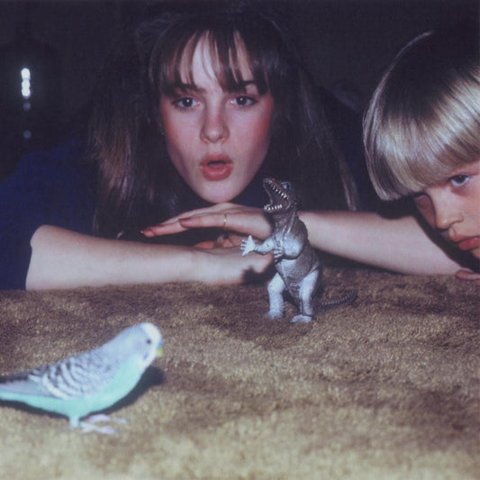 Big Thief - Masterpiece - LP Vinyl Record Hub
