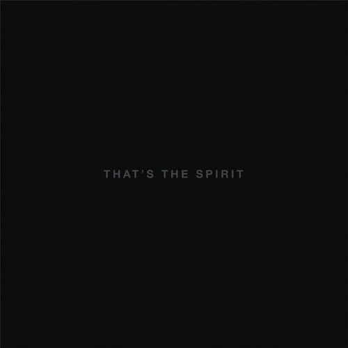Bring Me the Horizon - That's The Spirit - LP Vinyl Record Hub