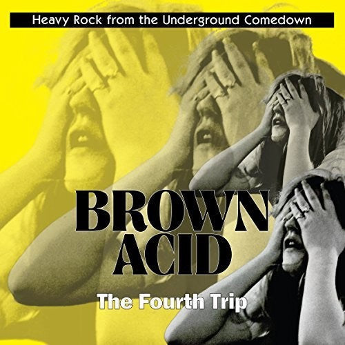 Various Artists - Brown Acid: The Fourth Trip - LP Vinyl Record Hub