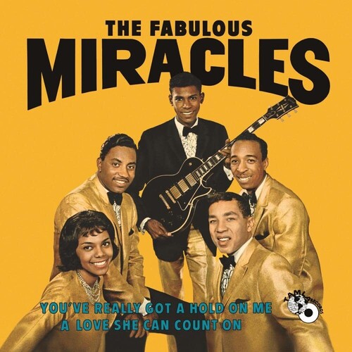 The Miracles - You've Really Got A Hold On Me - LP Vinyl Record Hub