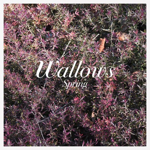 Wallows - Spring - 12" EP Vinyl Record Hub