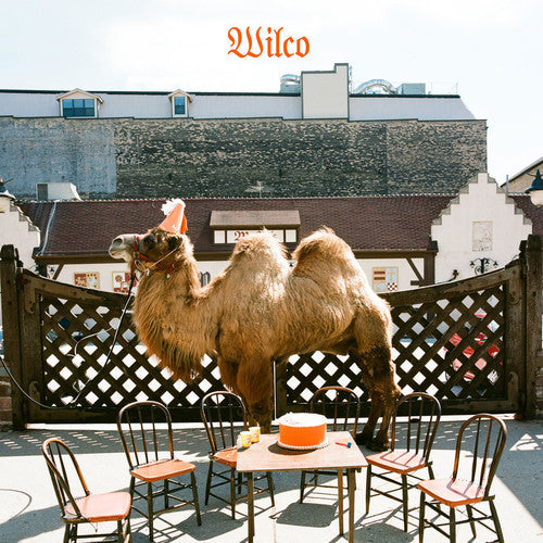 Wilco - Wilco - Picture Disc LP Vinyl Record Hub