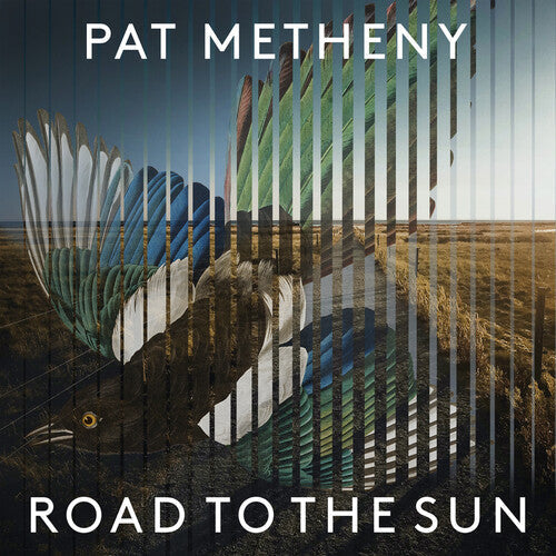 Pat Metheny - Road To The Sun - LP Vinyl Record Hub