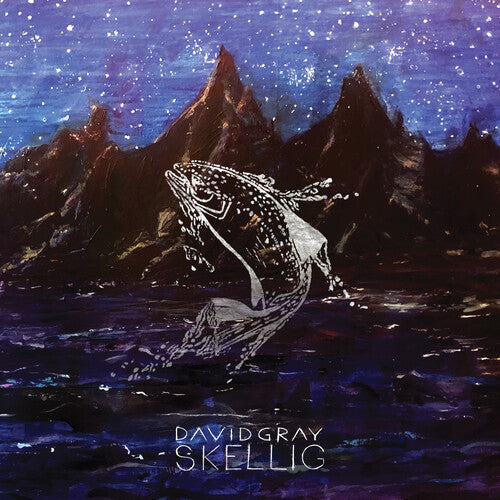 David Gray - Skellig - LP Vinyl Record Hub