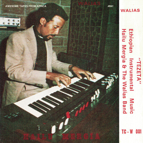 Hailu Mergia & The Walias Band - Tezeta - LP Vinyl Record Hub