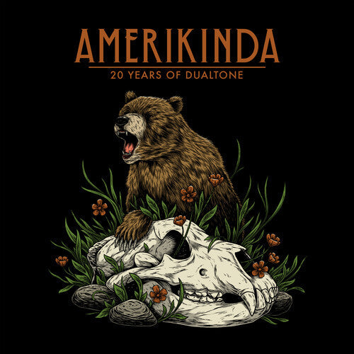 Various Artists - Amerikinda: 20 Years Of Dualtone - LP Vinyl Record Hub