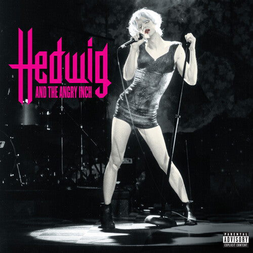 Stephen Trask - Hedwig And The Angry Inch - Original Cast Recording - LP Vinyl Record Hub