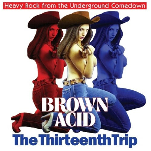 Various Artists - Brown Acid - The Thirteenth Trip - LP Vinyl Record Hub