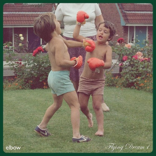 Elbow - Flying Dream 1 - LP Vinyl Record Hub