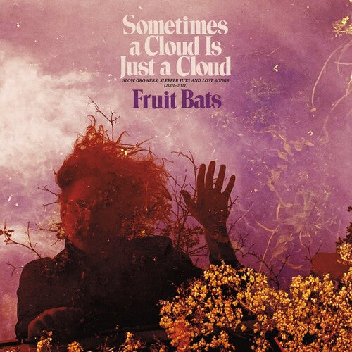 Fruit Bats -  Sometimes a Cloud Is Just a Cloud: Slow Growers, Sleeper Hits and Lost Songs - LP Vinyl Record Hub