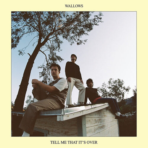 Wallows - Tell Me That It's Over - LP Vinyl Record Hub
