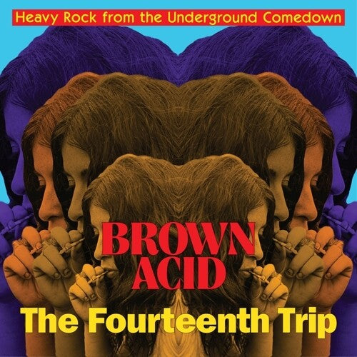 Various Artists - Brown Acid: The Fourteenth Trip - LP Vinyl Record Hub