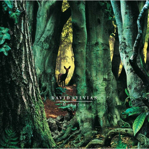 David Sylvian - Manafon - LP Vinyl Record Hub