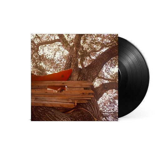 Backseat Lovers - Waiting To Spill - LP Vinyl Record Hub