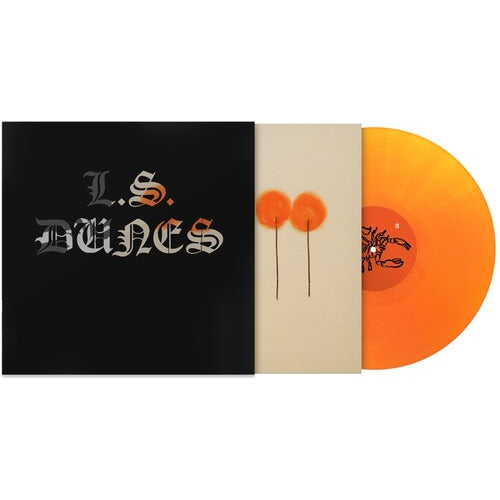 L.S. Dunes - Past Lives - LP Vinyl Record Hub