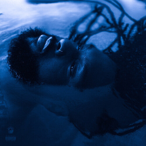 Rexx Life Raj - The Blue Hour - LP Vinyl Record Hub