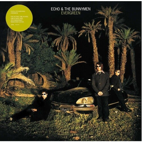 Echo & the Bunnymen - Evergreen - LP Vinyl Record Hub