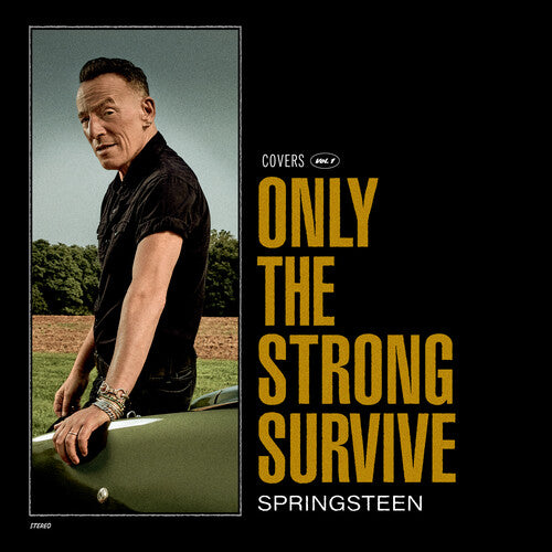 Bruce Springsteen - Only The Strong Survive - LP Vinyl Record Hub