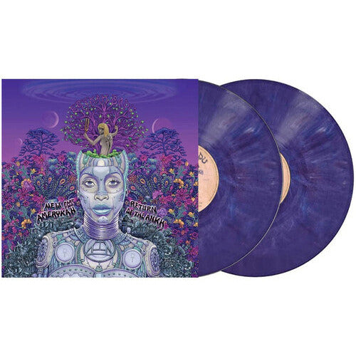 Erykah Badu - New Amerykah Part Two - LP Vinyl Record Hub