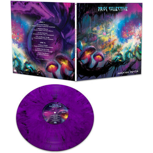 The Prog Collective - Seeking Peace  - LP Vinyl Record Hub