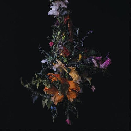 BIG/BRAVE - Nature Morte - LP Vinyl Record Hub