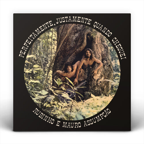 Rubinho e Mauro Assumpcao - Perfeitamente, Justamente Quando Cheguei - LP Vinyl Record Hub