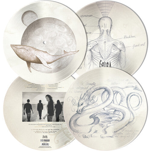 Gojira - From Mars to sirius - Picture Disc LP Vinyl Record Hub