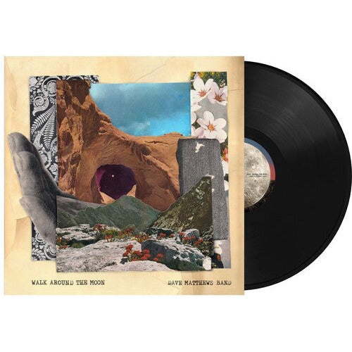 Dave Matthews Band - Walk Around The Moon - LP Vinyl Record Hub
