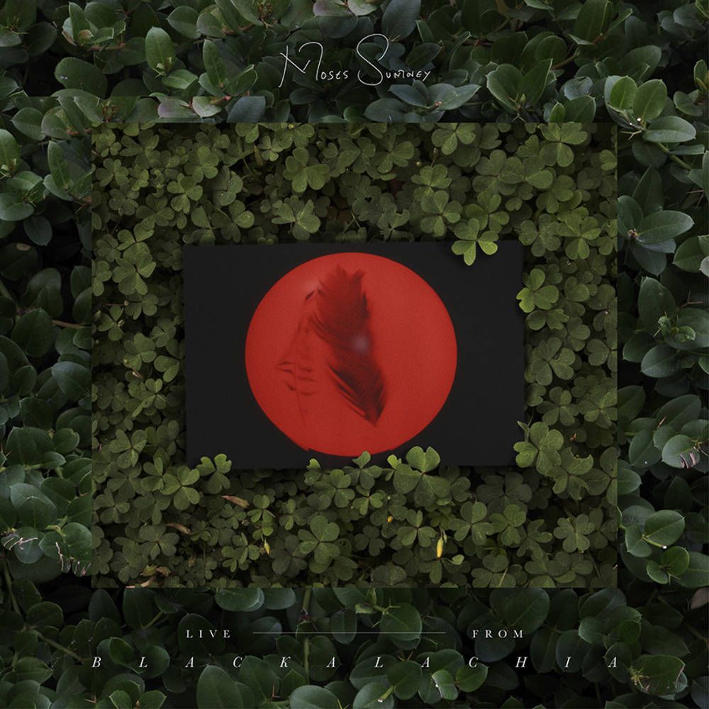 Moses Sumney - Live From Blackalachia - LP Vinyl Record Hub