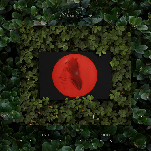 Moses Sumney - Live From Blackalachia - LP Vinyl Record Hub