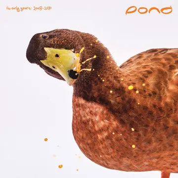 Pond - The Early Years: 2008-2010 - RSD LP Vinyl Record Hub