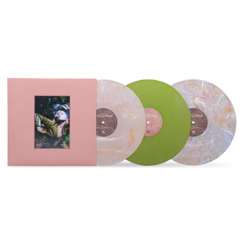 Hayley Williams - Flowers For Vases / Petals for Armor (Deluxe) - Indie LP Vinyl Record Hub