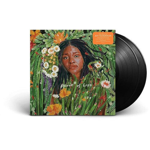 Joy Oladokun - Proof Of Life - LP Vinyl Record Hub