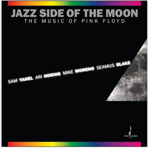 Sam Yahel, Ari Hoenig, Mike Moreno, Seamus Blake - Jazz Side of the Moon (The Music of Pink Floyd) - LP Vinyl Record Hub