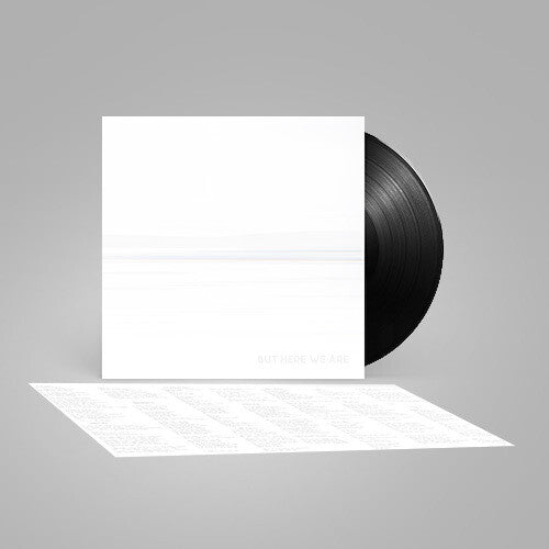 Foo Fighters -  But Here We Are - LP Vinyl Record Hub