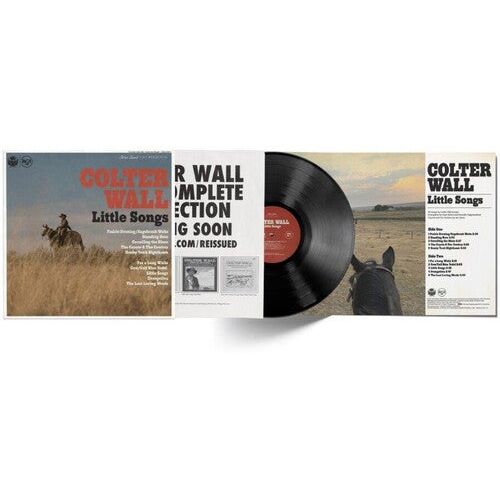 Colter Wall - Little Songs - LP Vinyl Record Hub