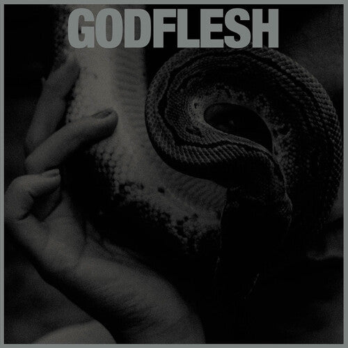 Godflesh - Purge - LP Vinyl Record Hub