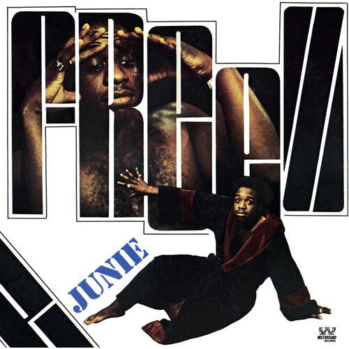 Junie - Freeze - Indie LP Vinyl Record Hub