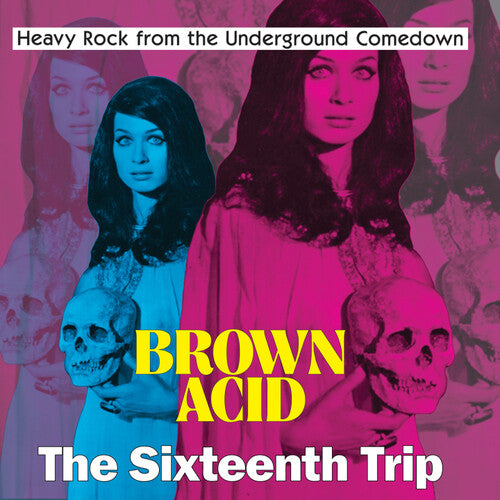 Various Artists - Brown Acid: The Sixteenth Trip - LP Vinyl Record Hub