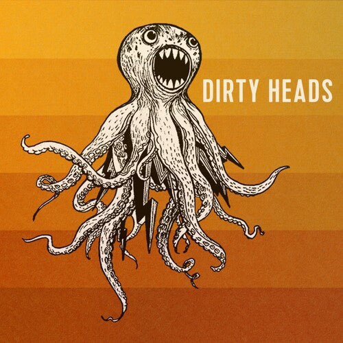 Dirty Heads - Dirty Heads - LP Vinyl Record Hub